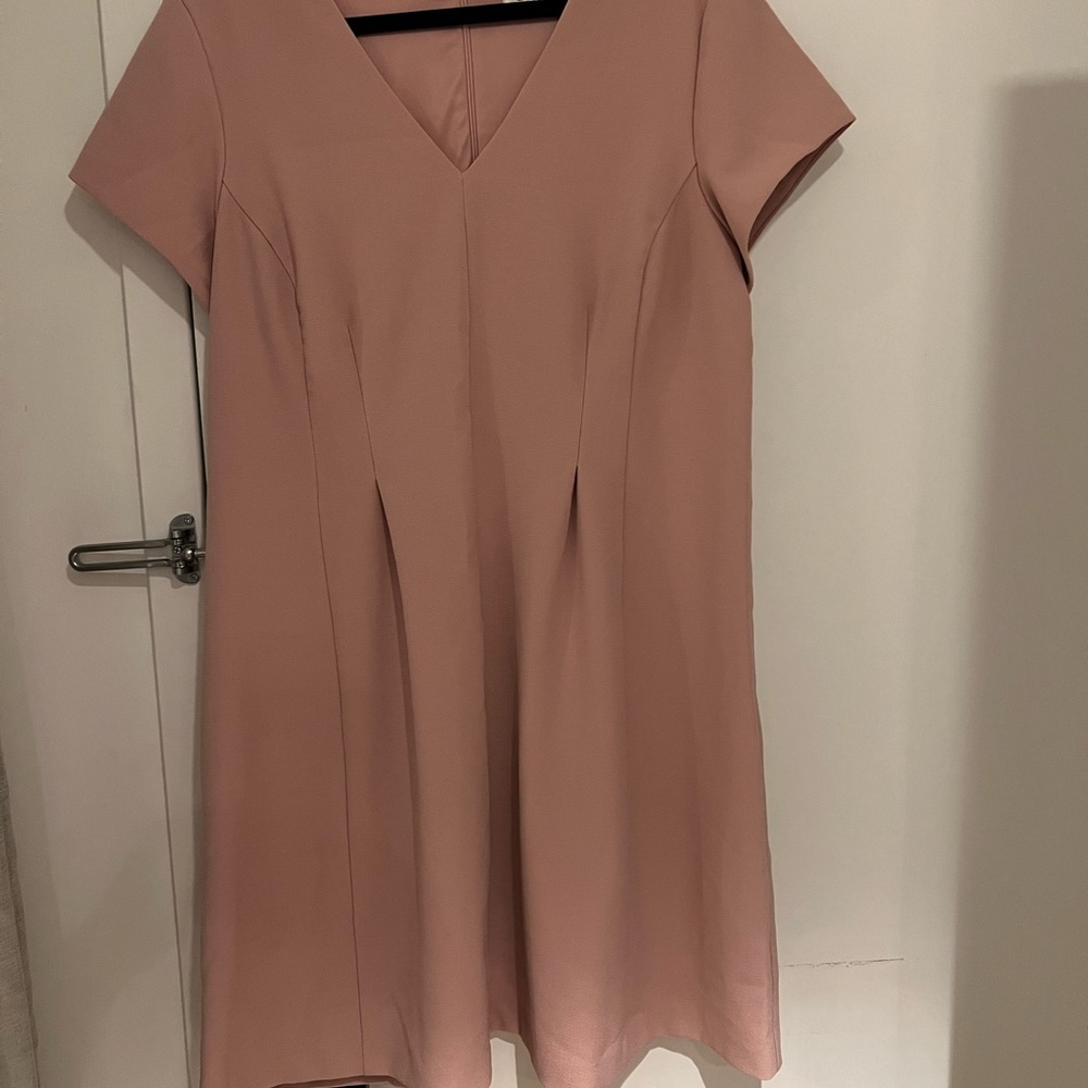 Blush Pink Dress worn 1x